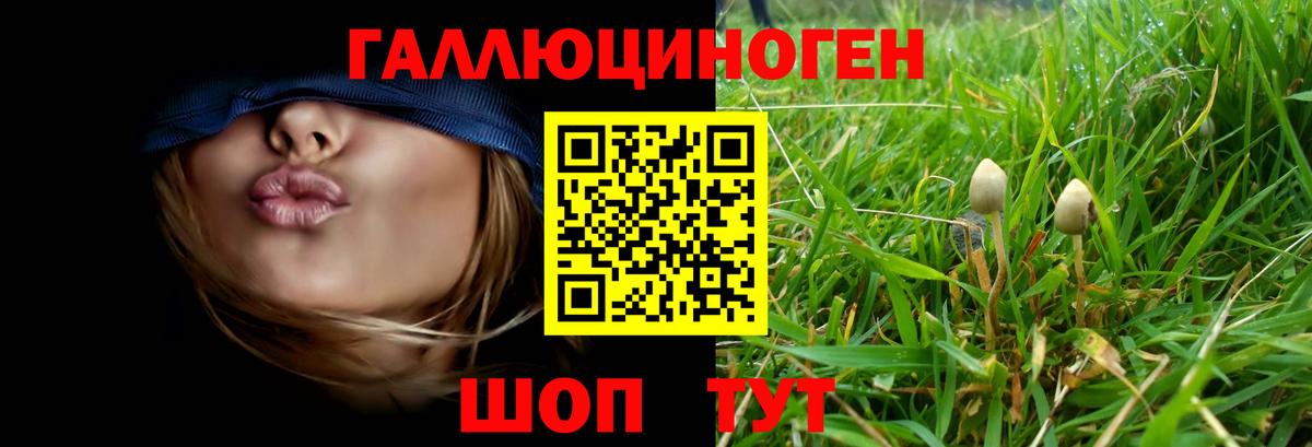 Галлюциногенные грибы прущие грибы Лянтор